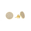 Crystal Meridian Earrings in Gold
