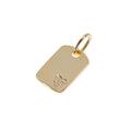 Heart of Gold Dog Tag Charm (14K Gold)